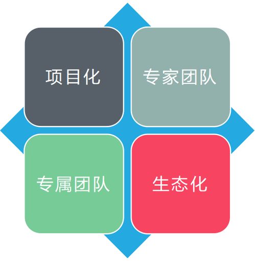 信息化軟件服務(wù) 驅(qū)動現(xiàn)代企業(yè)發(fā)展的核心引擎
